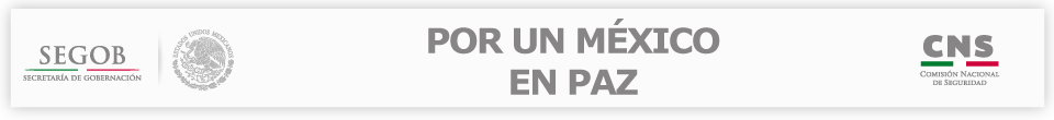 www.cns.gob.mx