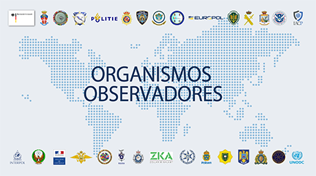 Organismos Observadores