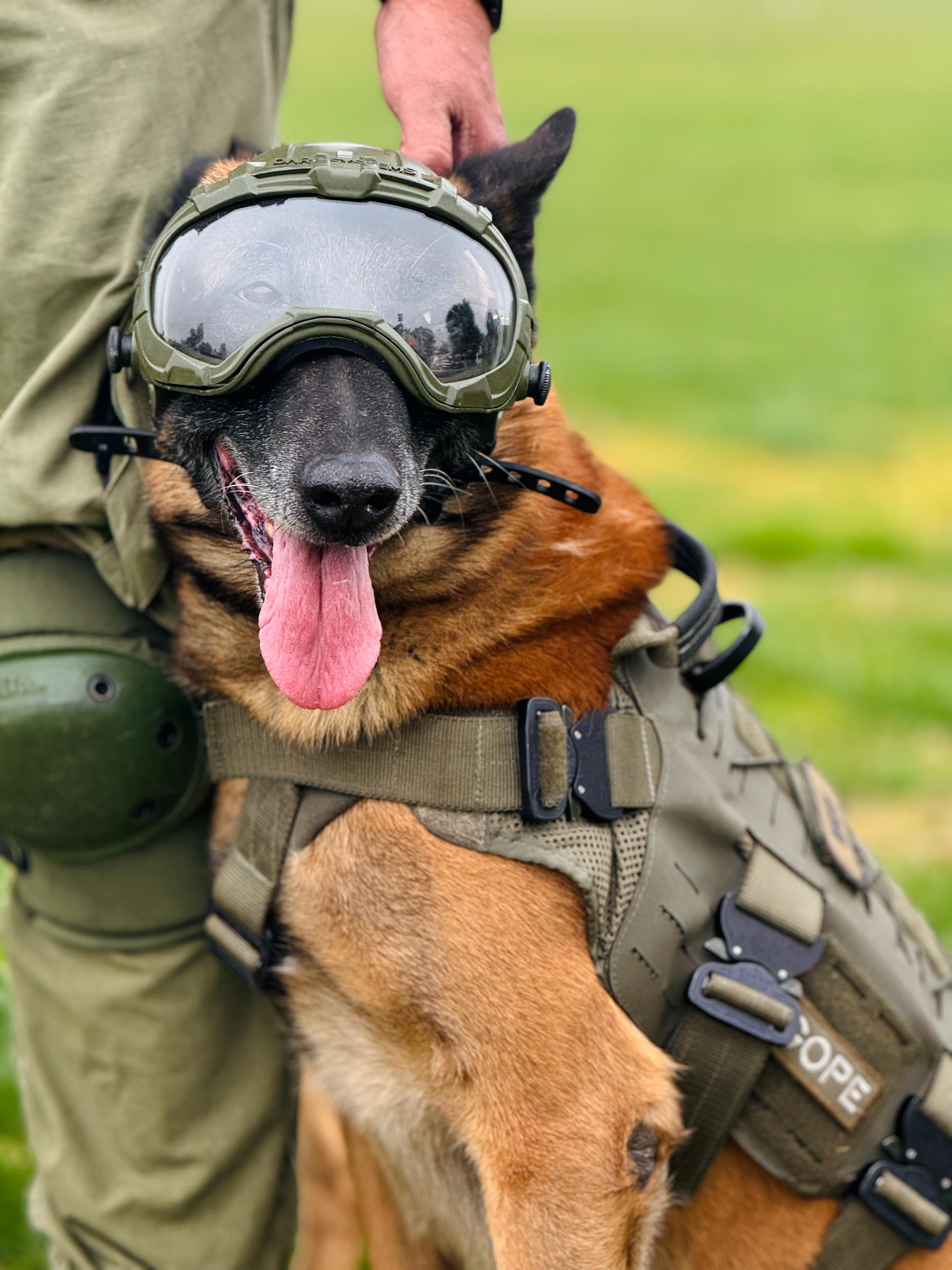 Agradecimientos a Carabineros de Chile