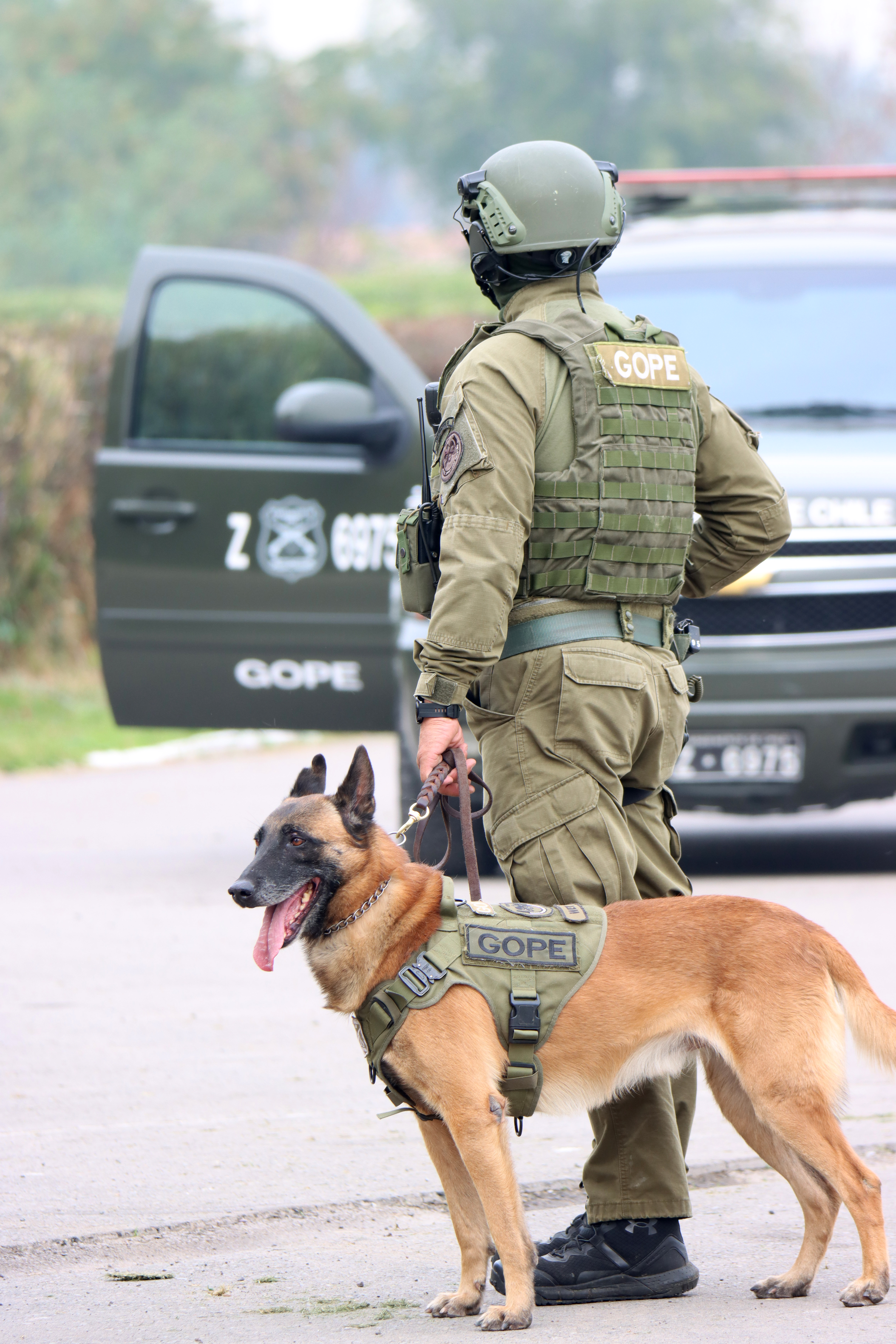 Agradecimientos a Carabineros de Chile
