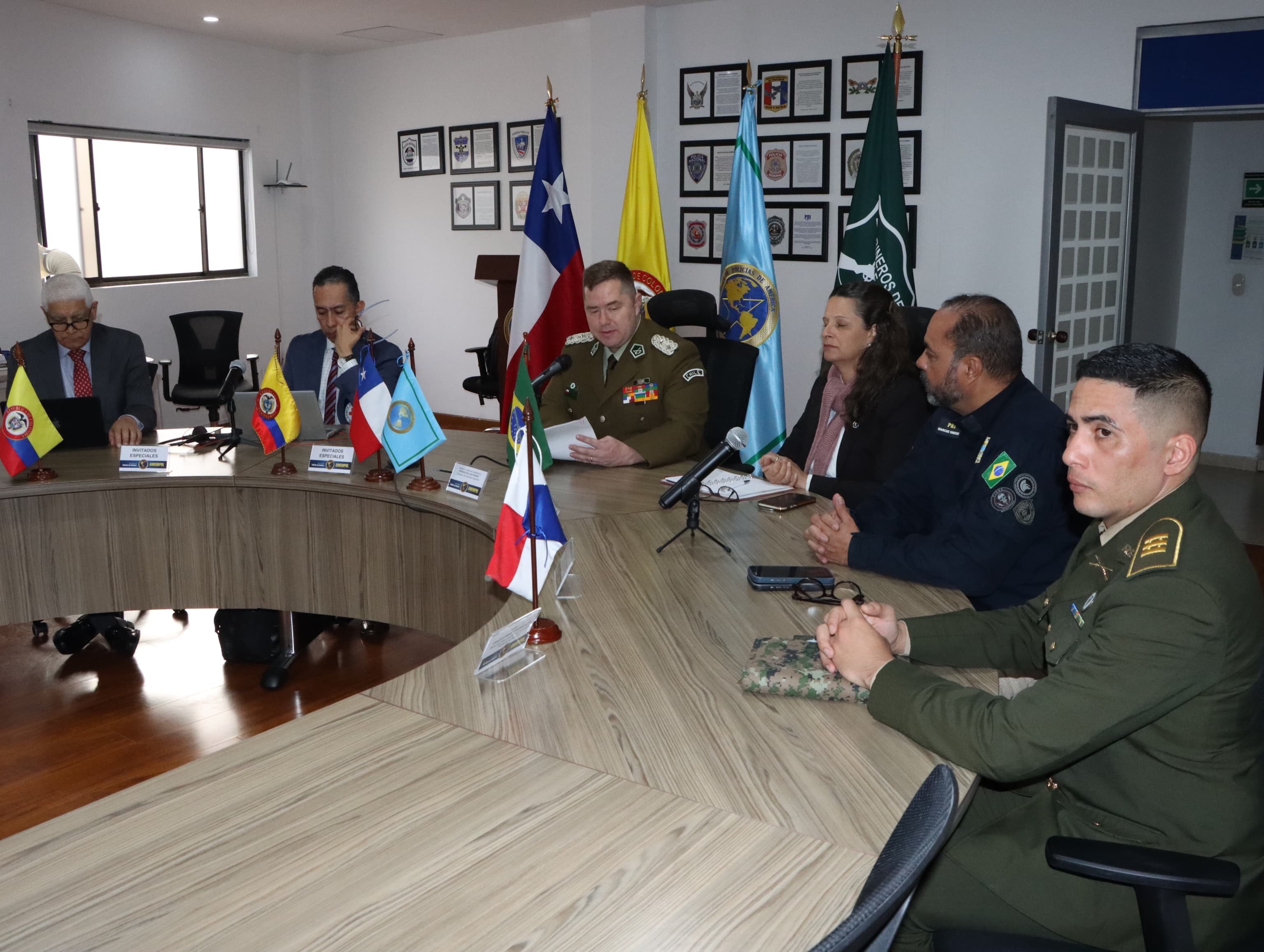 Desarrollo del webinar internacional organizado por AMERIPOL y el CICR sobre estándares internacionales para el uso de la fuerza.